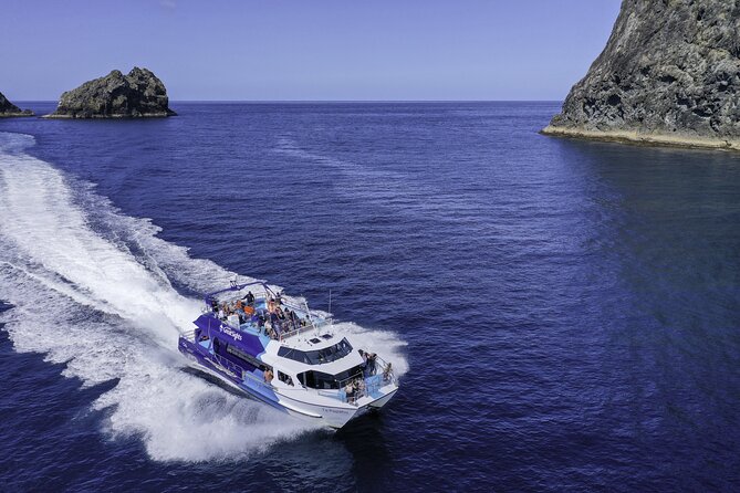 Full-Day Bay of Islands Tour by Vigilant Yacht Charters - Weather, cancellation, and sensible planning