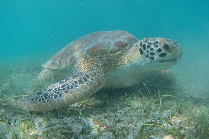 Full Day Private Charter, Snorkel St. John (12 guests, 55’ yacht) - The crew and the tone of the day