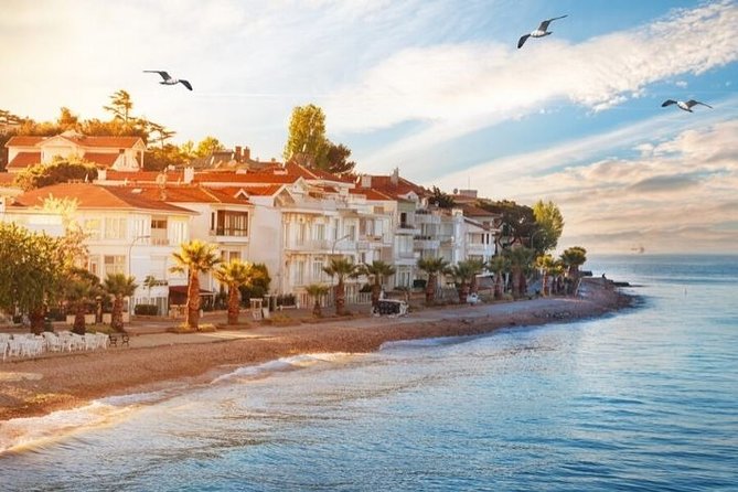 Full Day Private Luxury Yacht Cruise to Princes' Island and / or Bosphorus - Choosing between Beykoz, Poyrazköy, and Princes’ Islands