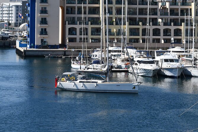 Half day charter on private sailing yacht in Gibraltar - Dolphin watching in the Bay of Gibraltar