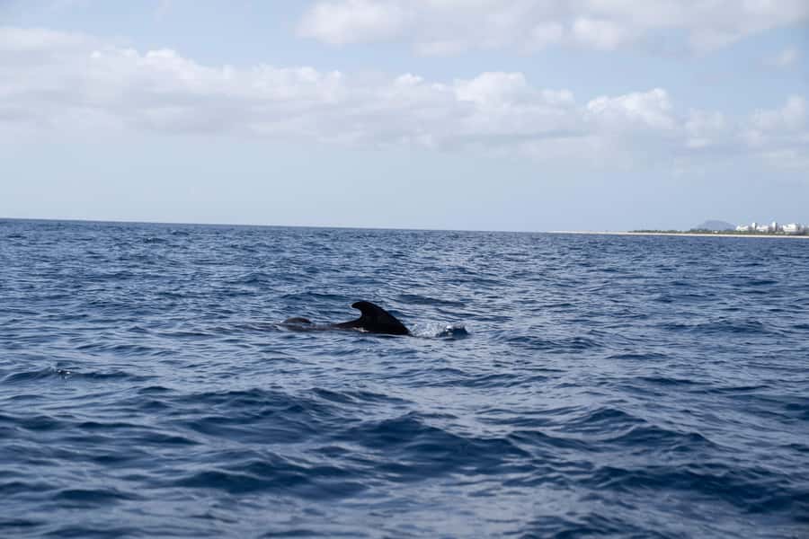 Half-Day Sailing Yacht Adventure in Sal Island - 3 hours - Setting sail on Lucy