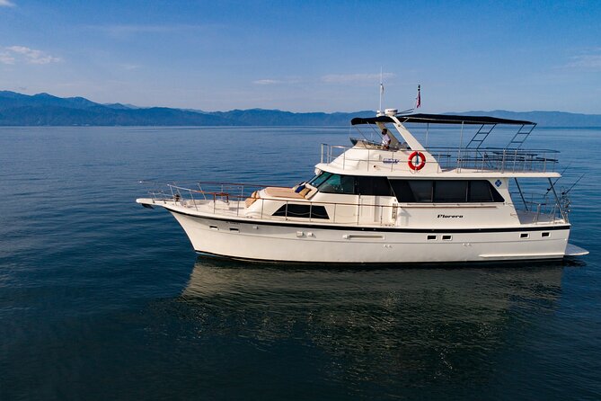 Hatteras 58-61' Luxury Yacht in Puerto Vallarta & Nuevo Nayarit - Wildlife and whale watching from the bay