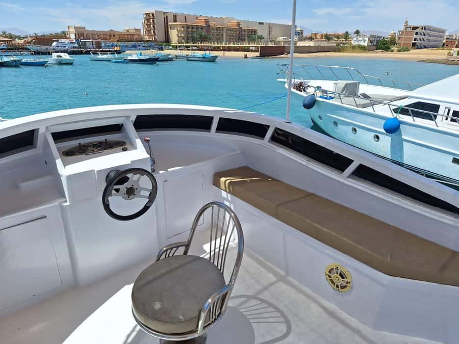 Hurghada: Elegance Yacht Cruise To Orange bay Island W lunch - Dolphins can turn a good trip into a great one
