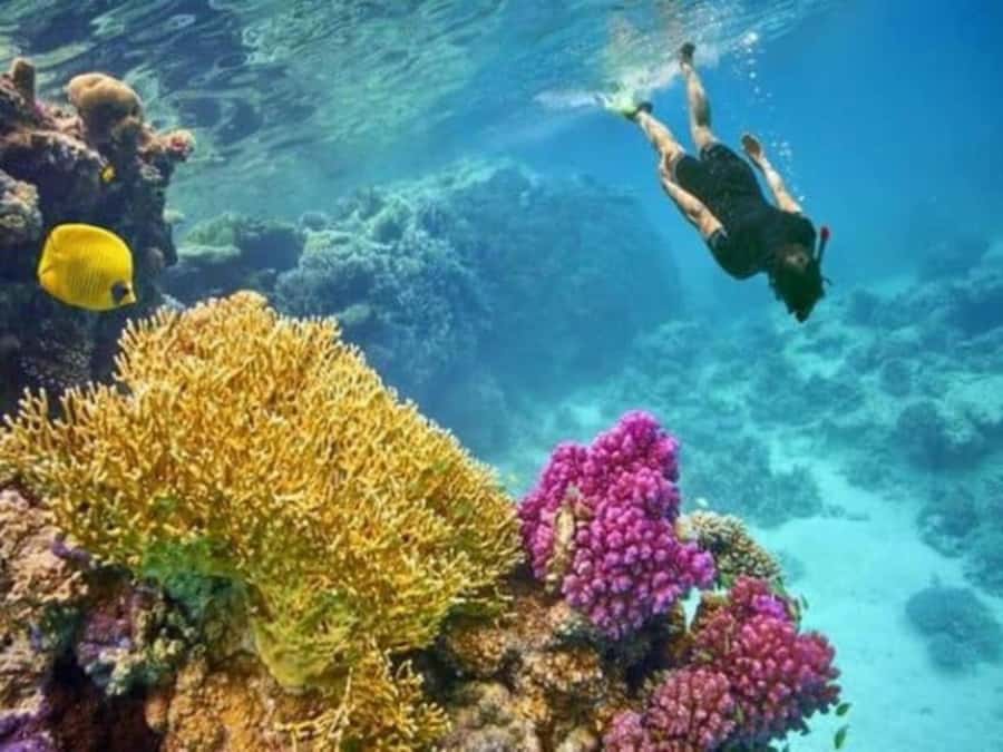 Hurghada: Luxury Private Yacht with Optional Lunch & Drinks - Who will enjoy this private boat day most?