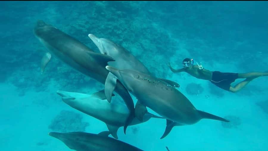 Hurghada: Luxury Yacht Trip with Personal Crew and Chef - Price and what your $135 buys