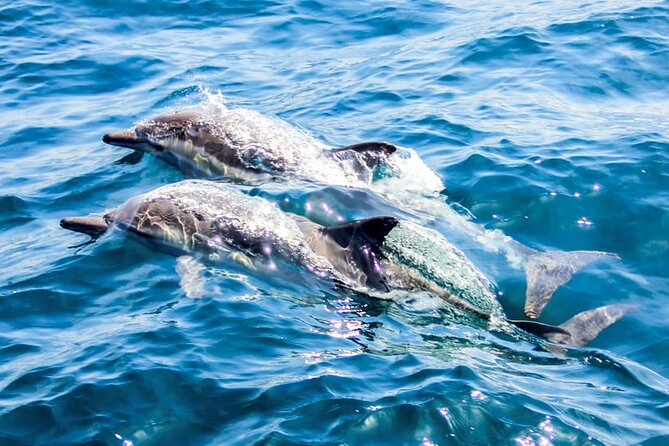 Ierapetra Chrissi Island Luxury Yacht Cruise with Meal - Seafood pasta and a taste of Crete