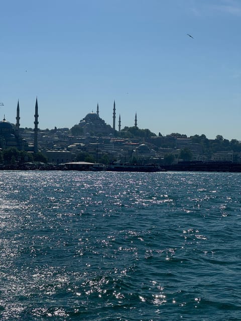 Istanbul: Bosphorus River Sunset Yacht Tour with Commentary - Dolmabahce Palace and the European shore