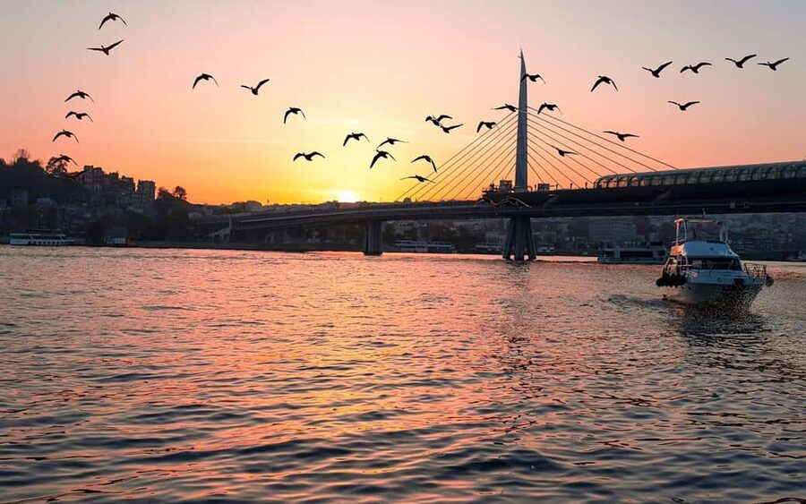 Istanbul: Bosphorus Yacht Cruise with Golden Horn View - Key Points Before You Book