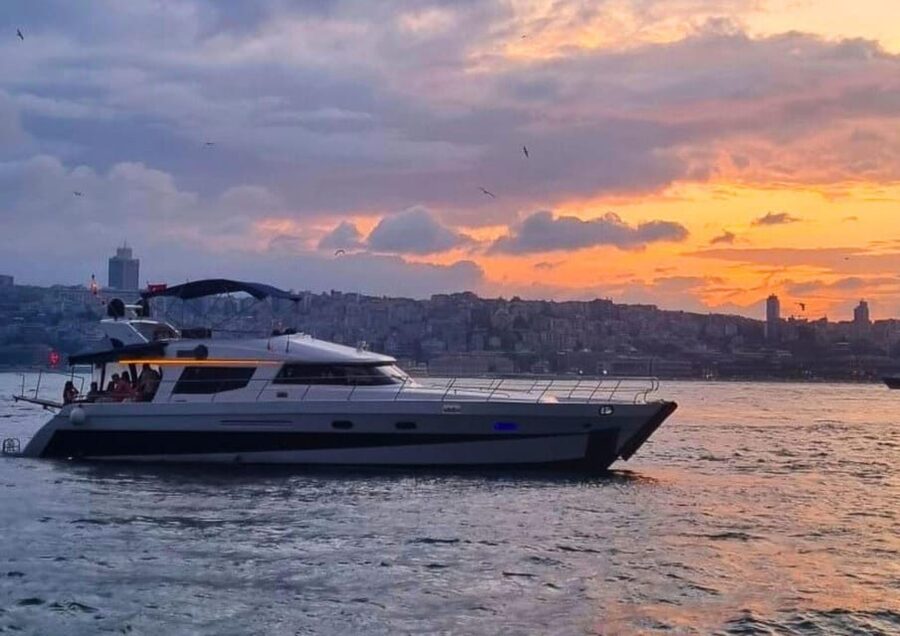 Istanbul: Daytime Bosphorus Yacht Cruise with Fruit & Snacks - Is $31 a fair price?