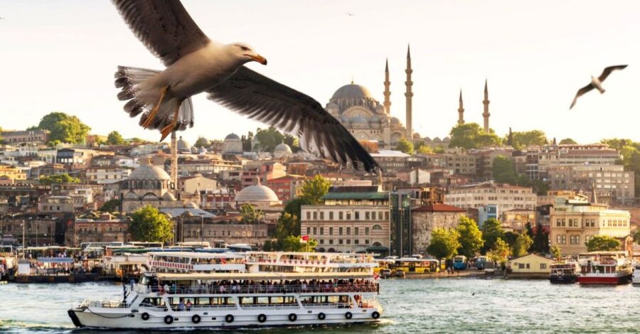 Istanbul: Private Bosphorus Cruise By Luxury Yacht - Timing, Extra Stops, and Possible Surprises