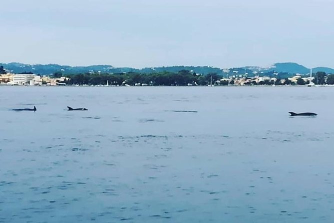 Kassiopi Private Daily Sailing Yacht Cruise - What is included on the yacht