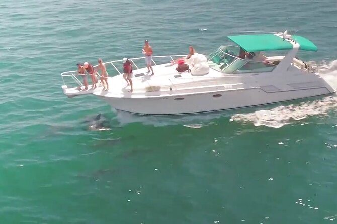 LA: Birthday Special Private Yacht (1 ticket covers 1-6 people) - Buoys, sculptures, and tropical plantings
