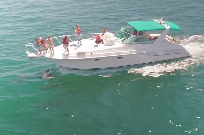 LA: Yacht Private Trip -1 hour (1 ticket covers 1-6 ppl - What this Long Beach yacht trip really is