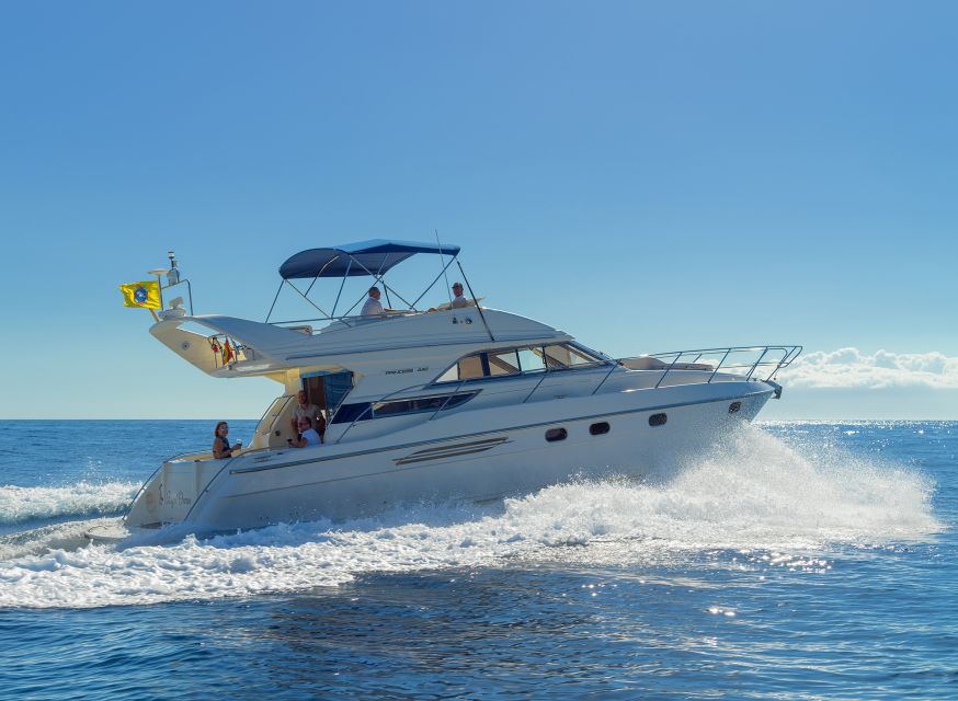 Las Galletas: Private Luxury Yacht Cruise with Lunch - Key points at a glance