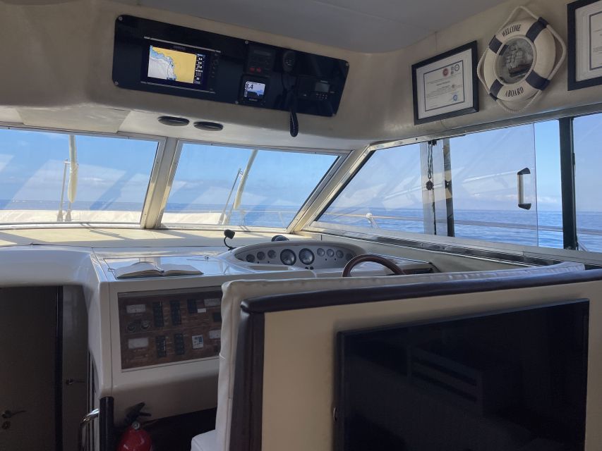 Las Galletas: Private Luxury Yacht Cruise with Lunch - Searching for whales and dolphins