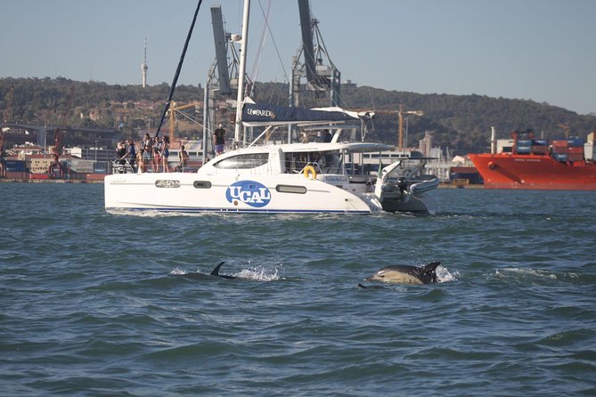 Lisbon: Sunset Cruise With Drinks on Spacious Yacht - Who will enjoy this sunset cruise most