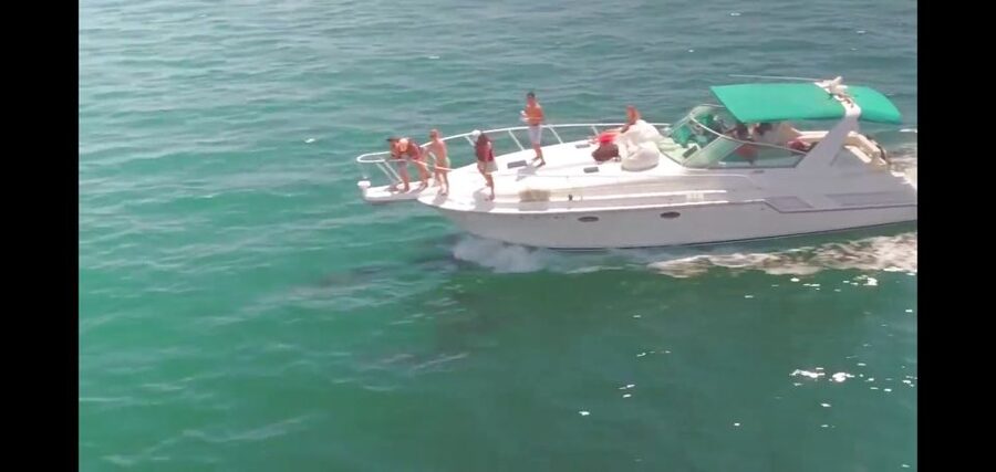 Long Beach: 2-Hour Private Group Yacht Cruise - Boarding at Rainbow Harbor
