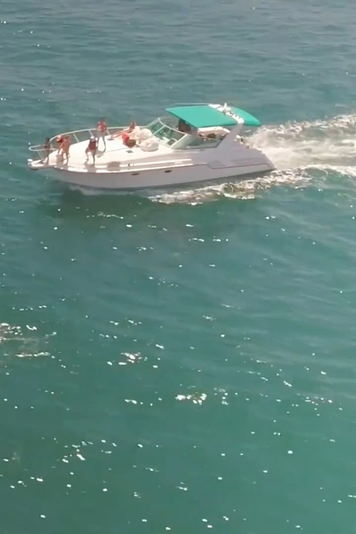 Long Beach: 3hr Private Yacht Trip (1 ticket covers 1-6 ppl) - Marine life and the optional swim