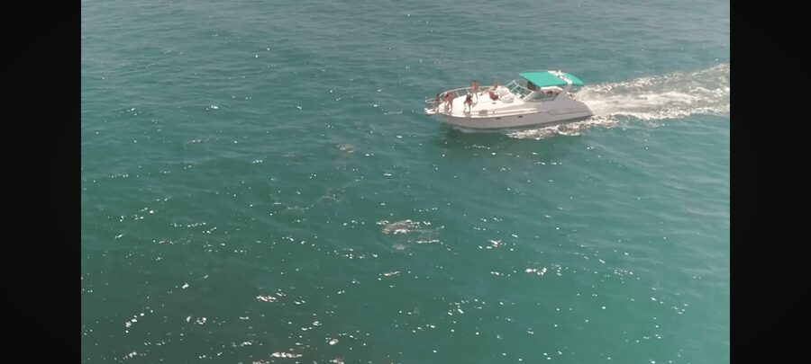 Long Beach: 3hr Private Yacht Trip (1 ticket covers 1-6 ppl) - The final stretch back to Rainbow Harbor