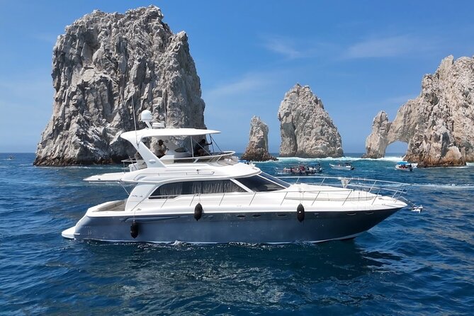 Los Cabos Whale Watching & Snorkel Adventure with Food & Drinks - Timing, weather, and cancellation details
