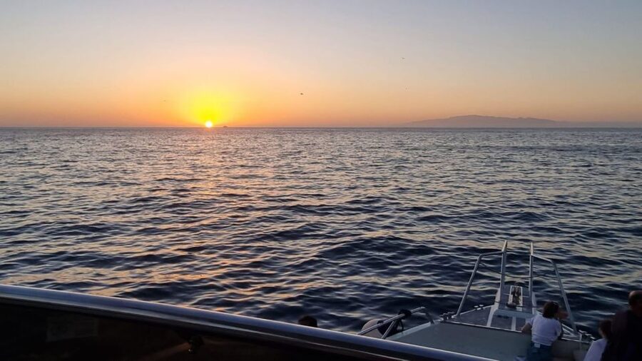 Los Cristianos: Eco Yacht Whale Watching Tour at Sunset - Booking, cancellation, and practical details