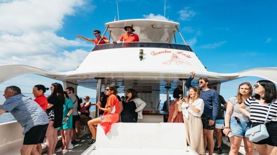 Los Cristianos: Eco Yacht Whale Watching Tour at Sunset - Why this short sunset cruise works so well