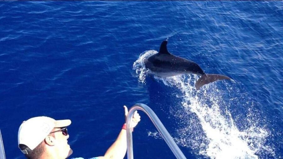 Los Cristianos: Eco Yacht Whale Watching Tour at Sunset - A closer look at the 90-minute route