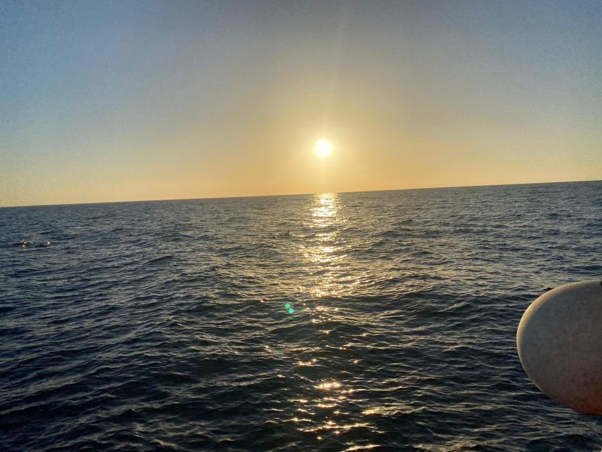 Los Cristianos: Eco Yacht Whale Watching Tour at Sunset - Who should book this Los Cristianos cruise?