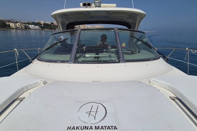 Luxury Motor Yacht in Estepona. Dophin spotting, swimming, etc - Dolphin spotting along the Estepona coast