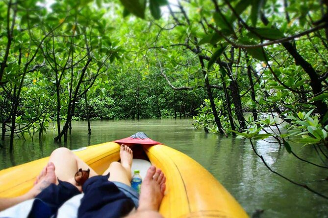 Luxury Private Motor Yacht Charter by Simba Sea Trips - Koh Panak brings caves and changing tides