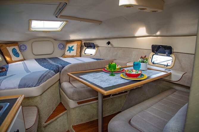 Luxury Yacht Charter and Arch Tour in Cabo San Lucas - Sea lions, whales, and marine life