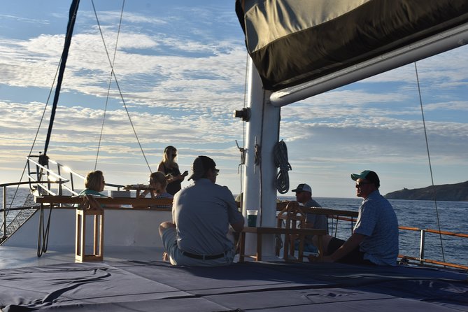 Luxury Yacht Snorkeling & Lunch Cruise from Cabo San Lucas - What the yacht and crew are really like