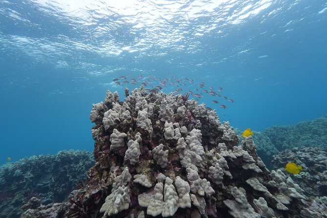 Maui: Molokini and Turtles Luxury Yacht Snorkel - The weather risk is real