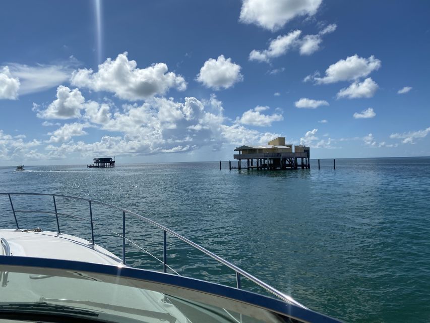 Miami: Private Yacht Rental Tour with Dolphins and Snorkel - Cruising Biscayne Bay by private yacht