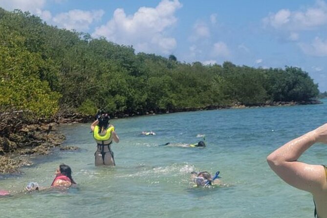 Miami: Snorkeling Adventure in Miami for Beginners Private Yacht - What to expect from the snorkeling