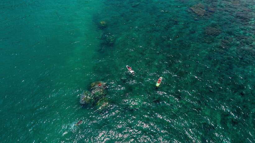 Nha Trang: VIP YACHT TOUR ( BBQ, Water activities) - Service, atmosphere, and what the ratings suggest