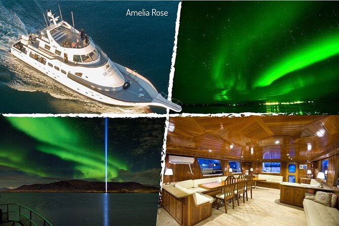 Northern Lights Yacht Cruise in Reykjavik - Is $94 a fair price?