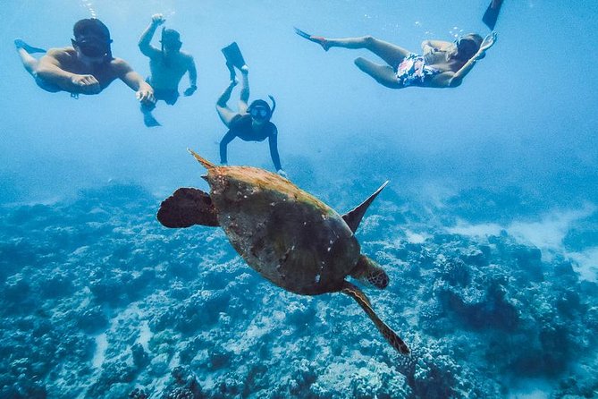 Oahu Small Group Snorkel Tour with Yacht Cruise - Who Will Enjoy This Oahu Yacht Cruise