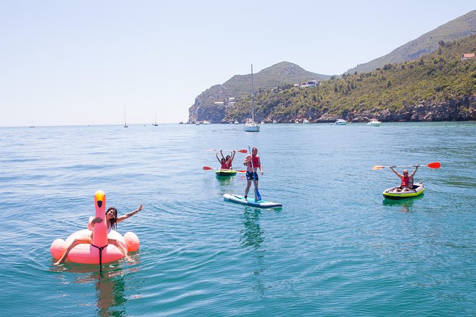 Ocean Bliss: Full Day Arrábida Private Yacht Tour from Lisbon - Dolphins, sea life, and realistic expectations