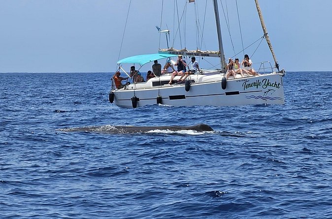 Ocean Pack Tenerife Jet Ski and Yacht Whale Watching - Guides Guy and Vladka add a personal touch