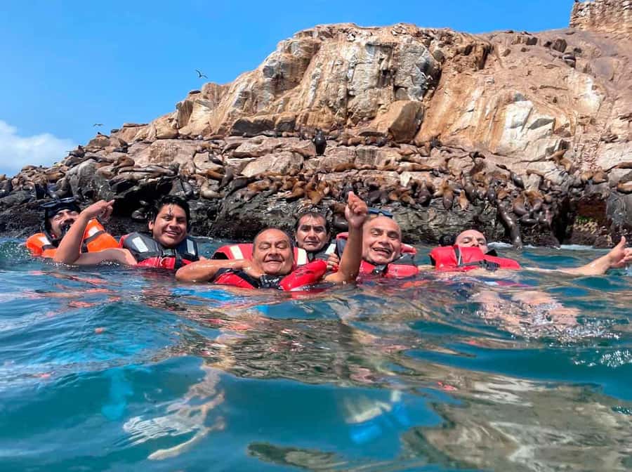 Palomino Islands Yacht Tour and swim alongside the sea lions - Why the Palomino Islands trip is worth your morning