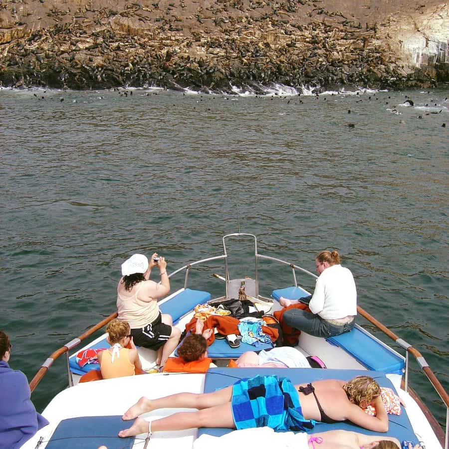 Palomino Islands Yacht Tour and swim alongside the sea lions - The 45-minute yacht ride through Callao’s islands
