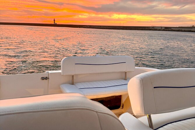 Porto: Yacht Small-Group Douro River Cruise & 6 Bridges w/ Drink - Ponte da Arrabida and the first wide river views