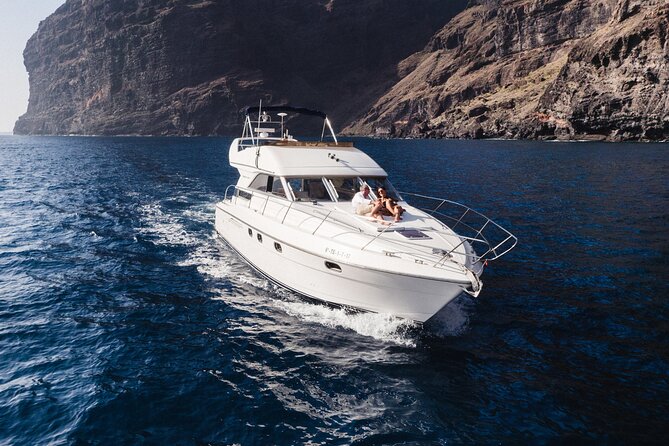 Private Boat Tour on Royal Ocean Yacht, Tenerife - The First Hour: Searching for Whales and Dolphins