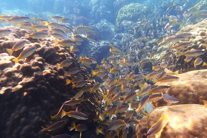 Private Full-Day Blue Dragon Yacht to Angthong National Marine Park - The return route past Ko Wua Talap and Phaluai