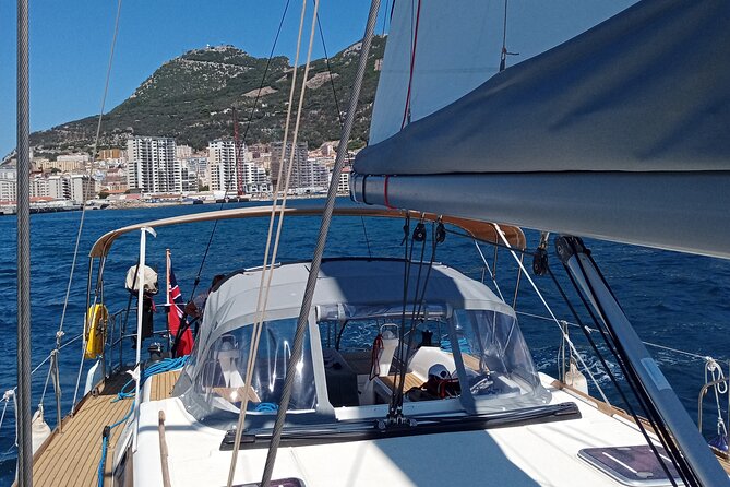 Private Full-day Sailing Cruise from Gibraltar by Yacht - Watching for dolphins in the bay
