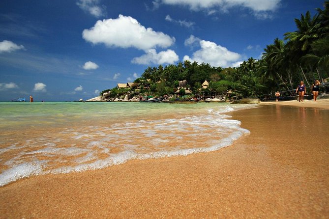 Private Half-Day Red Dragon Yacht for Snorkeling Koh Tan & Visit Pig Island - Key points to know before booking