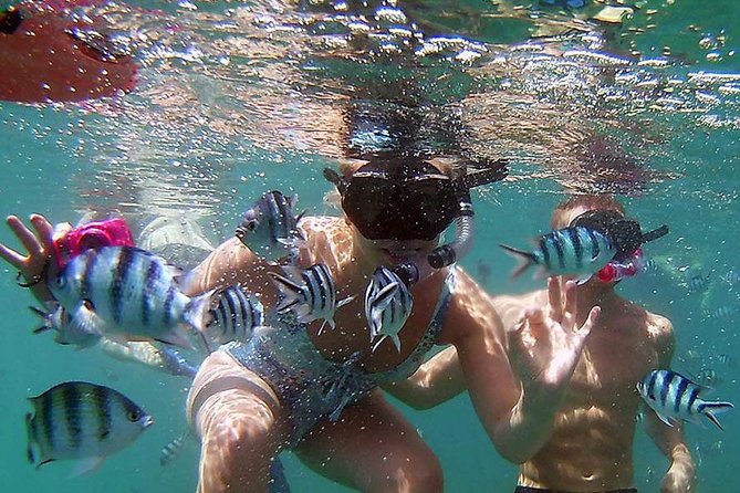 Private Half-Day Red Dragon Yacht for Snorkeling Koh Tan & Visit Pig Island - Hotel pickup and what the private format changes