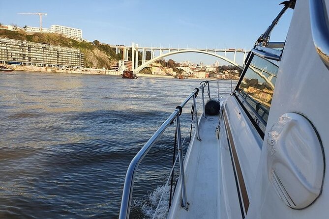 Private Luxury Yacht Sunset, Daytime or Night Cruise in Porto - Drinks, snacks, paddling, and swimming