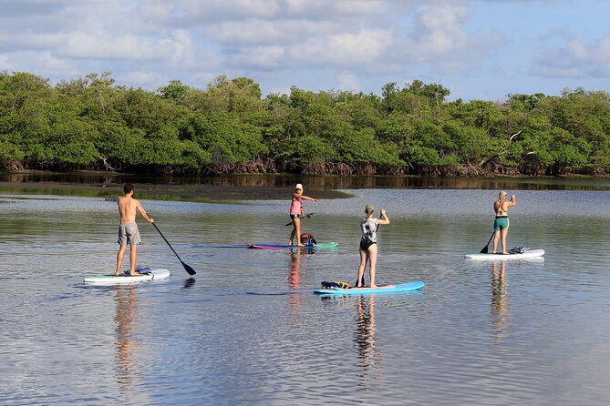 Private PADDLE-BOARD and YACHT Adventure - Lunch, drinks, and onboard comfort
